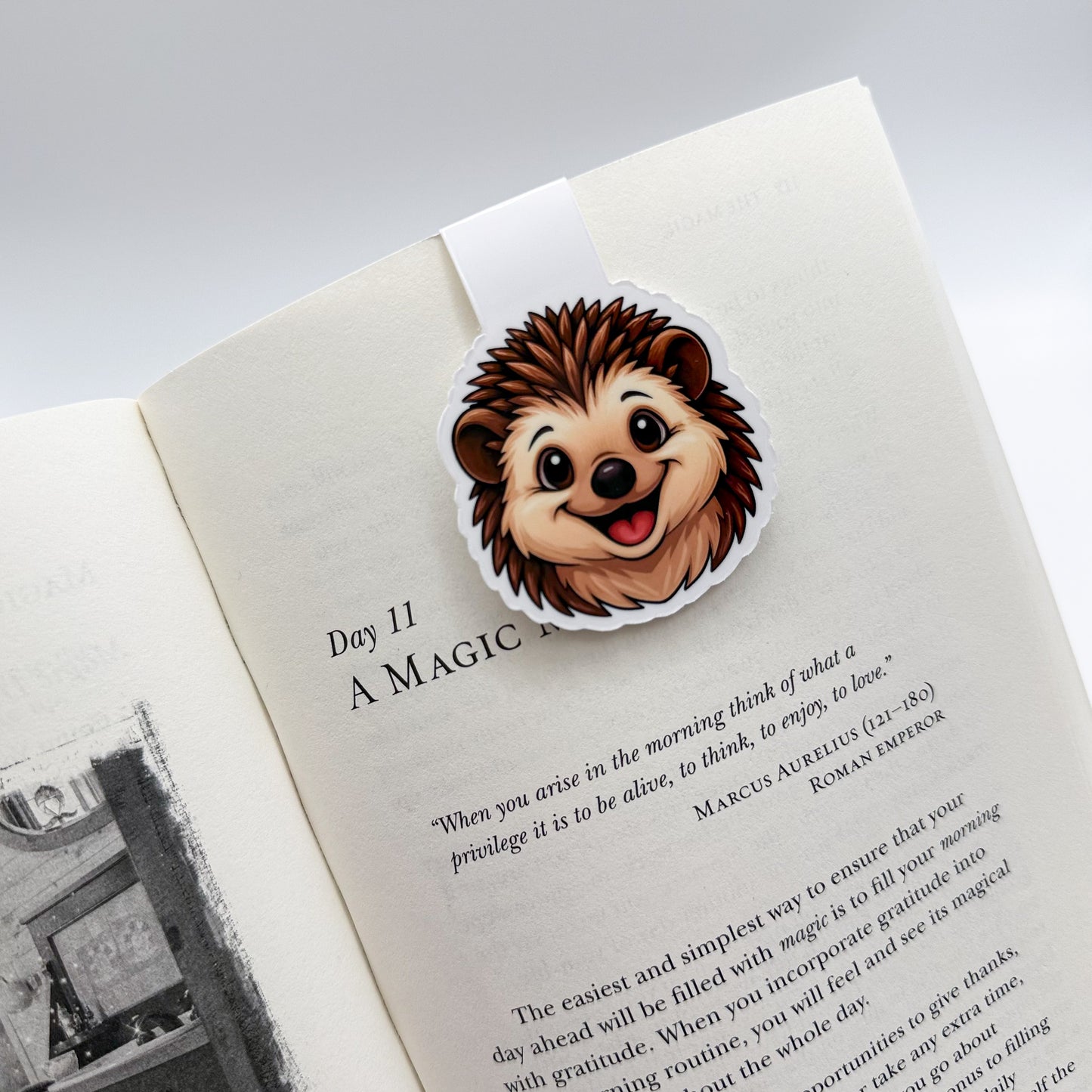 Anxious moments soften with this hedgehog bookmark, perfect for introverts, journalers, and reflective readers. — Handmade sticker — Perth, Australia