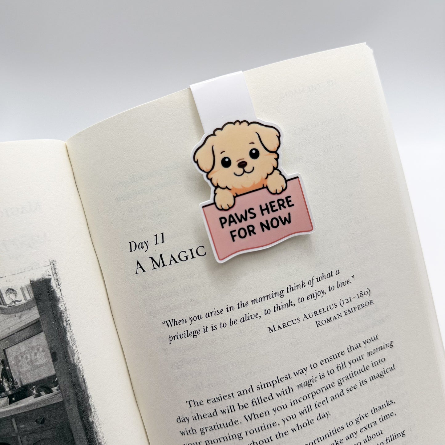 Busy mind won’t slow down? This bookmark set invites calm focus through its dog, cat and koala art for introverts and sensitive readers alike. — Handmade sticker — Perth, Australia