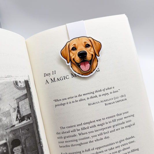 When energy dips, this Labrador brings a sense of warm guidance — made for steady page-turners and reliable thinkers.