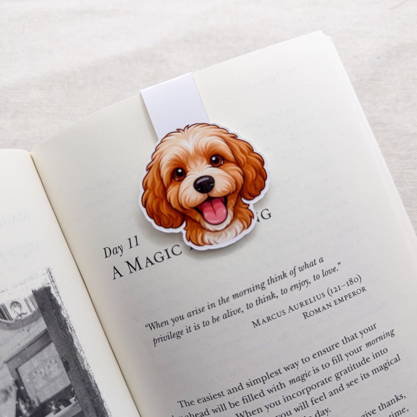 When you're drained, this Cavoodle brings a soft uplift, made for cozy readers and soulful caregivers. — Handmade sticker — Perth, Australia