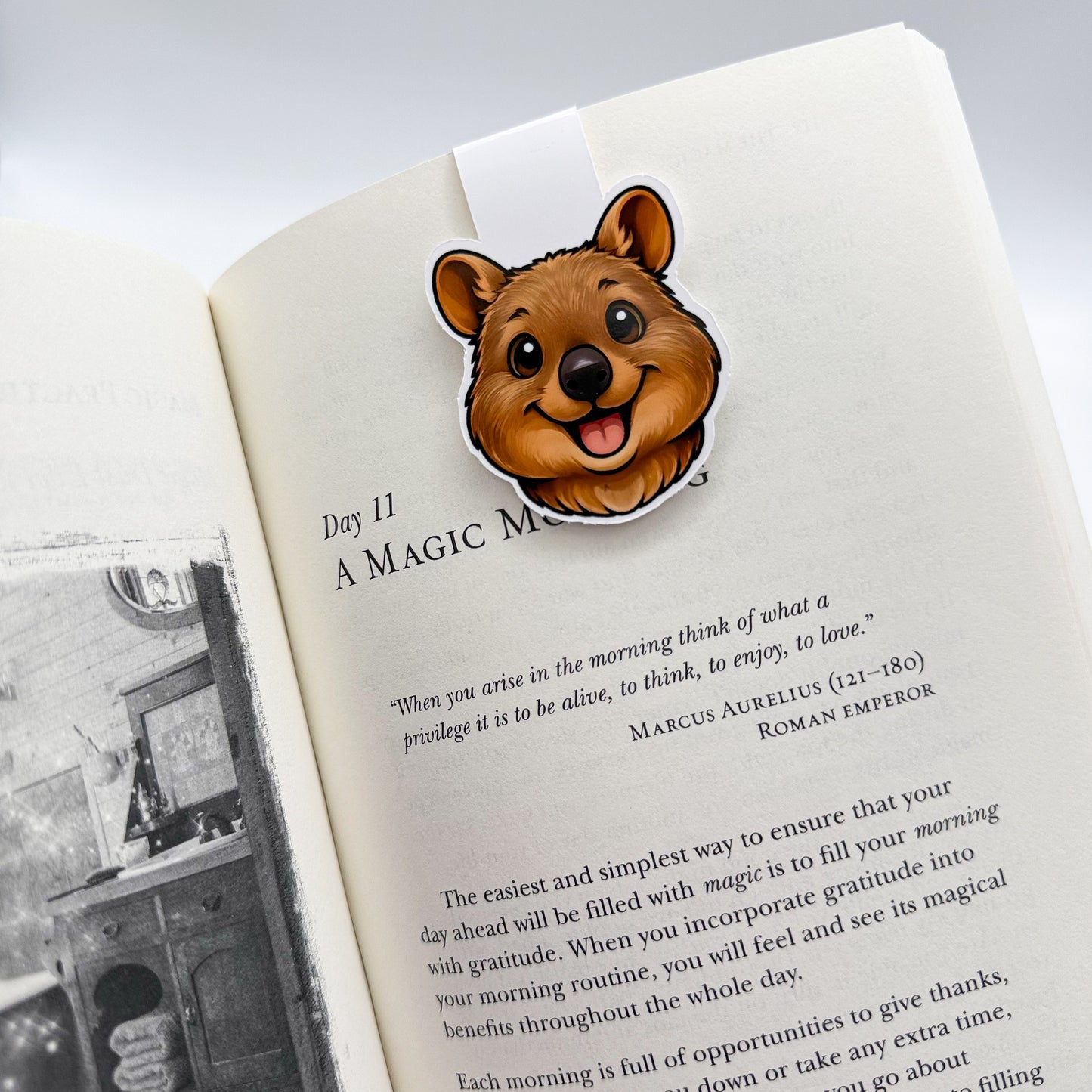When focus feels flat, this Quokka brings an uplifting spark — perfect for emotionally tuned-in readers and gentle-paced souls. — Handmade sticker — Perth, Australia