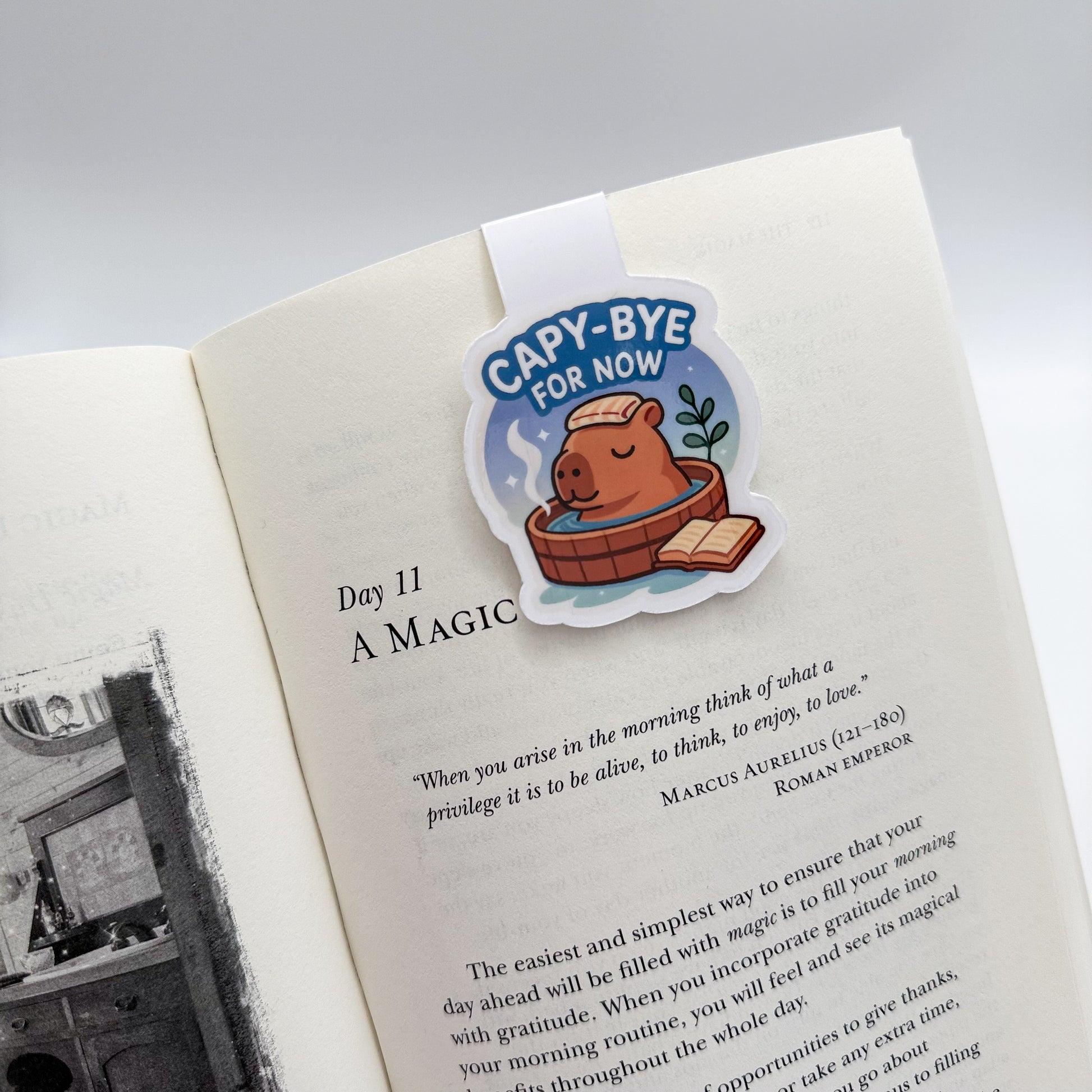 Too many messages? This peaceful capybara bookmark supports those who crave stillness, soft time-outs and non-demanding returns.
