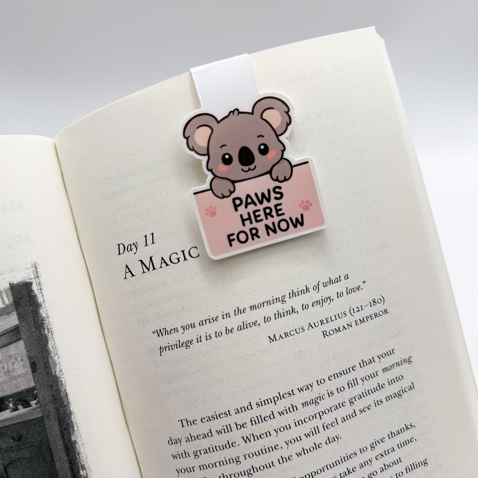 Overstimulated lately? These magnetic bookmarks with koala, cat and dog illustrations create a gentle haven for readers needing rhythm and space.