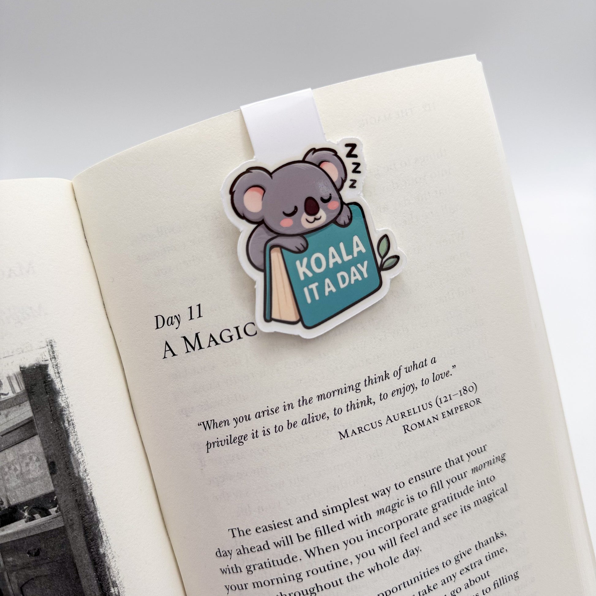 Overwhelmed? Let this magnetic koala mark your pause with grace, perfect for readers who need quiet rituals.