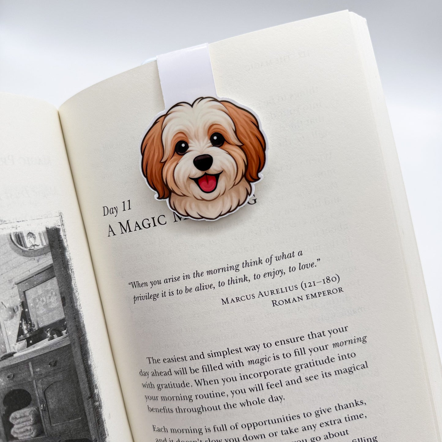 Overwhelmed minds will find calm focus with this Havanese magnetic bookmark, a thoughtful gift for empathetic readers and emotionally aware book lovers. — Handmade sticker — Perth, Australia
