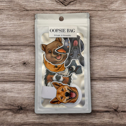 Overwhelmed shoppers can explore joyfully with this playful Oopsie Bag of magnets stickers and bookmarks for curious creators.