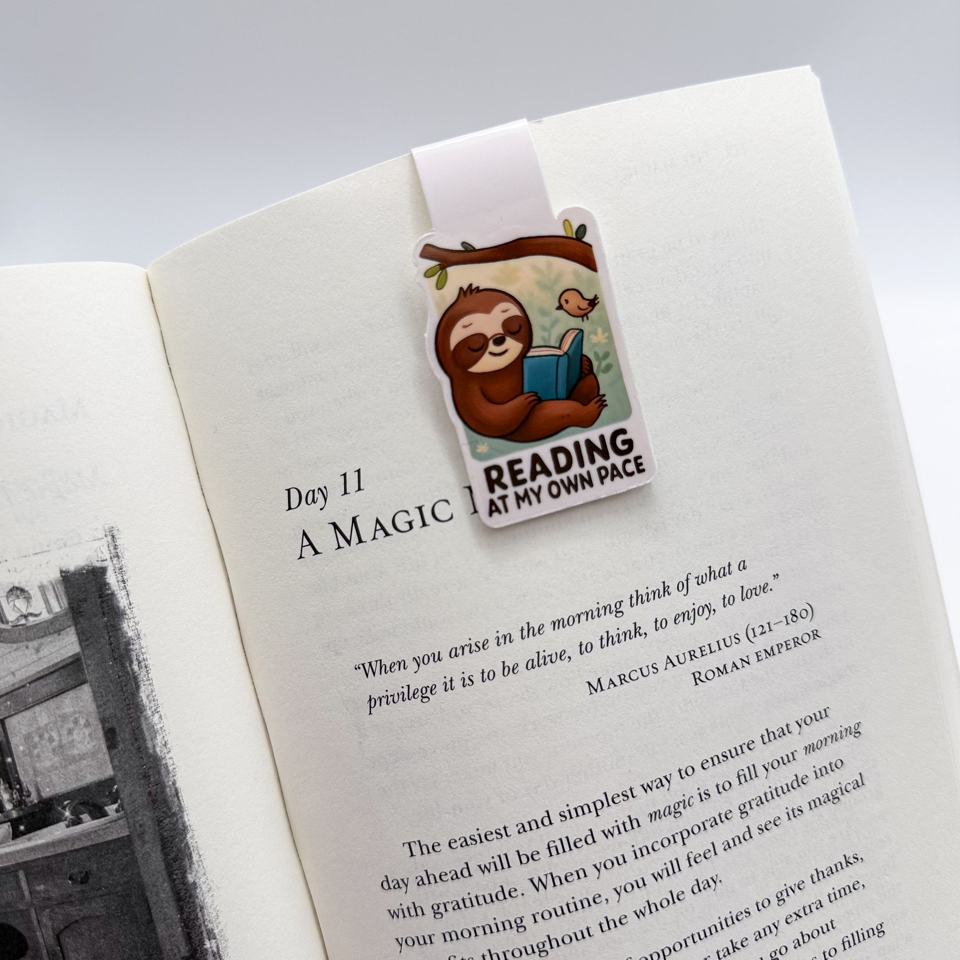 Need time to settle in? This sloth page marker reminds focused learners to ground and breathe, perfect for peaceful rituals and quiet reading time.