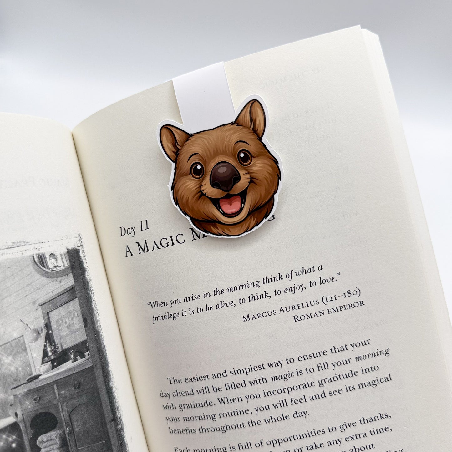 Restless minds find grounding in this wombat bookmark, perfect for slow-pacers, night readers, and nature-aligned bookworms. — Handmade sticker — Perth, Australia