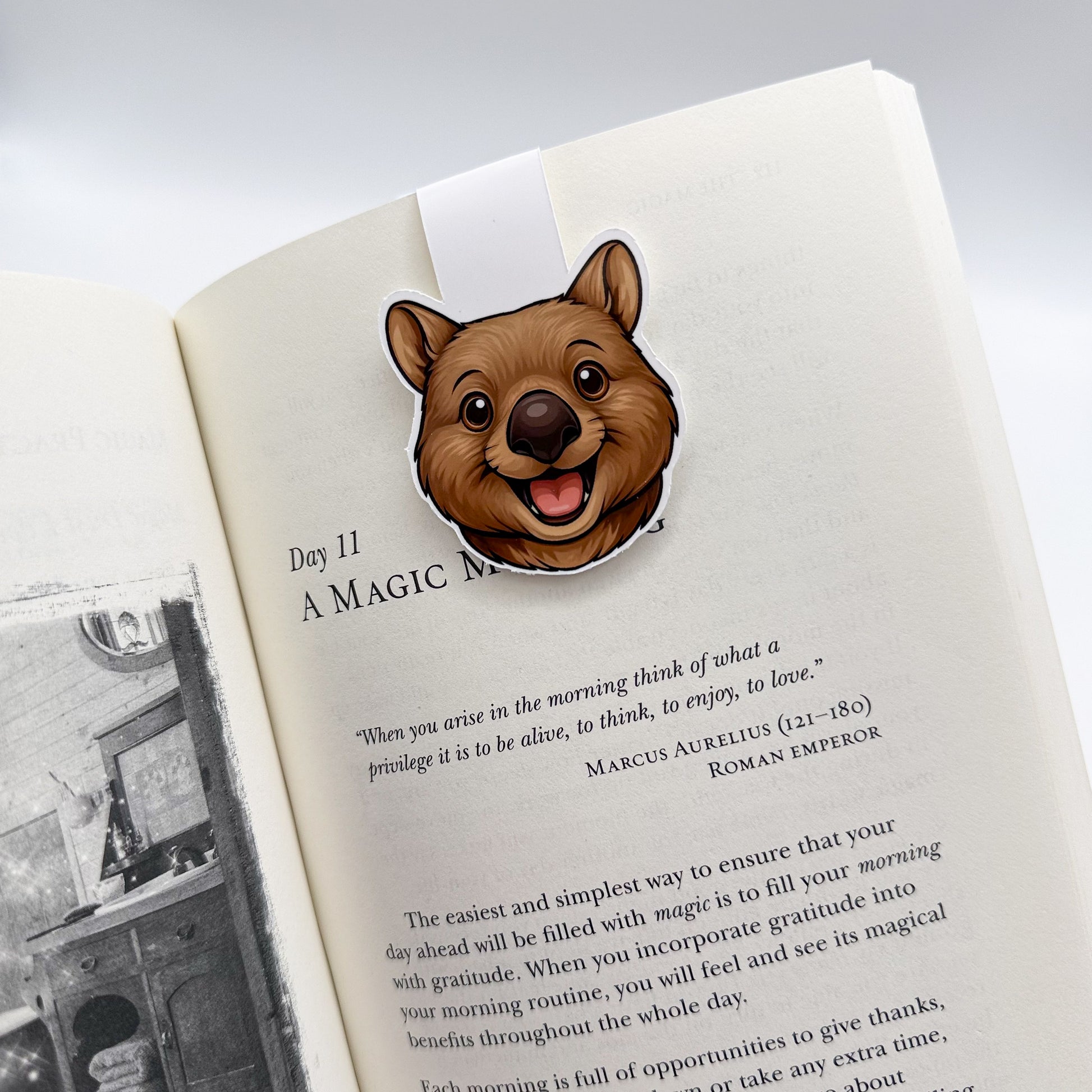Restless minds find grounding in this wombat bookmark, perfect for slow-pacers, night readers, and nature-aligned bookworms.