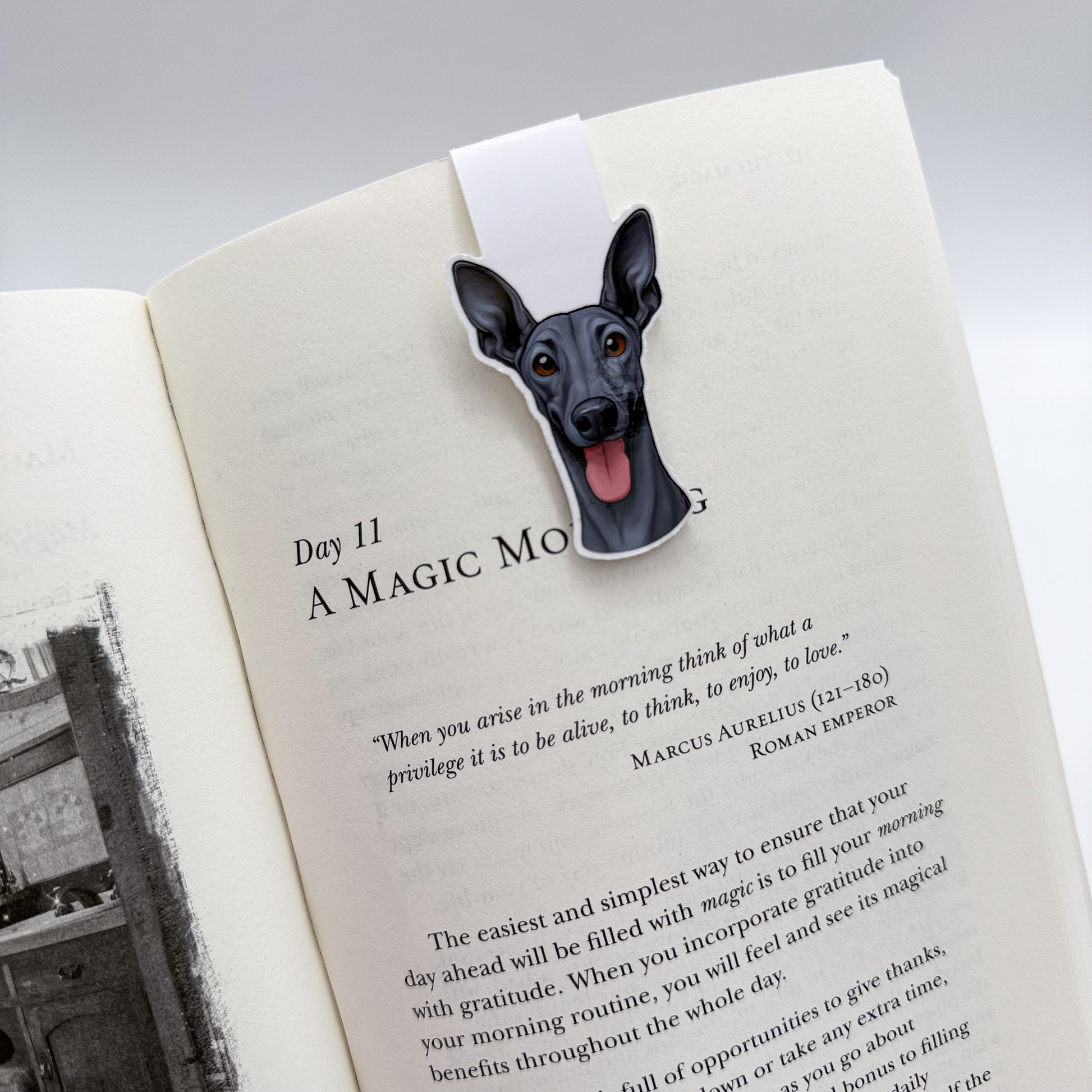 Restless energy settles with this greyhound bookmark, perfect for still-paced readers and emotional wind-down moments.