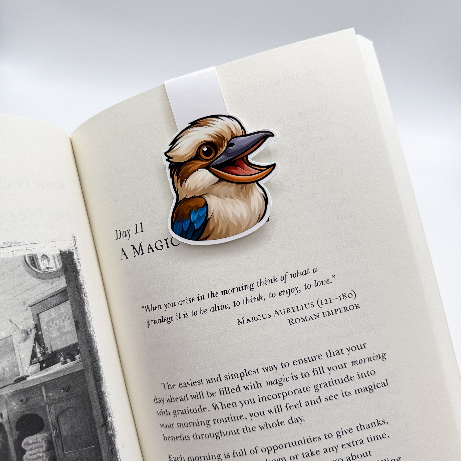 Scattered thinkers will enjoy calm with this kookaburra bookmark, ideal for soft-paced readers and those craving emotional balance.