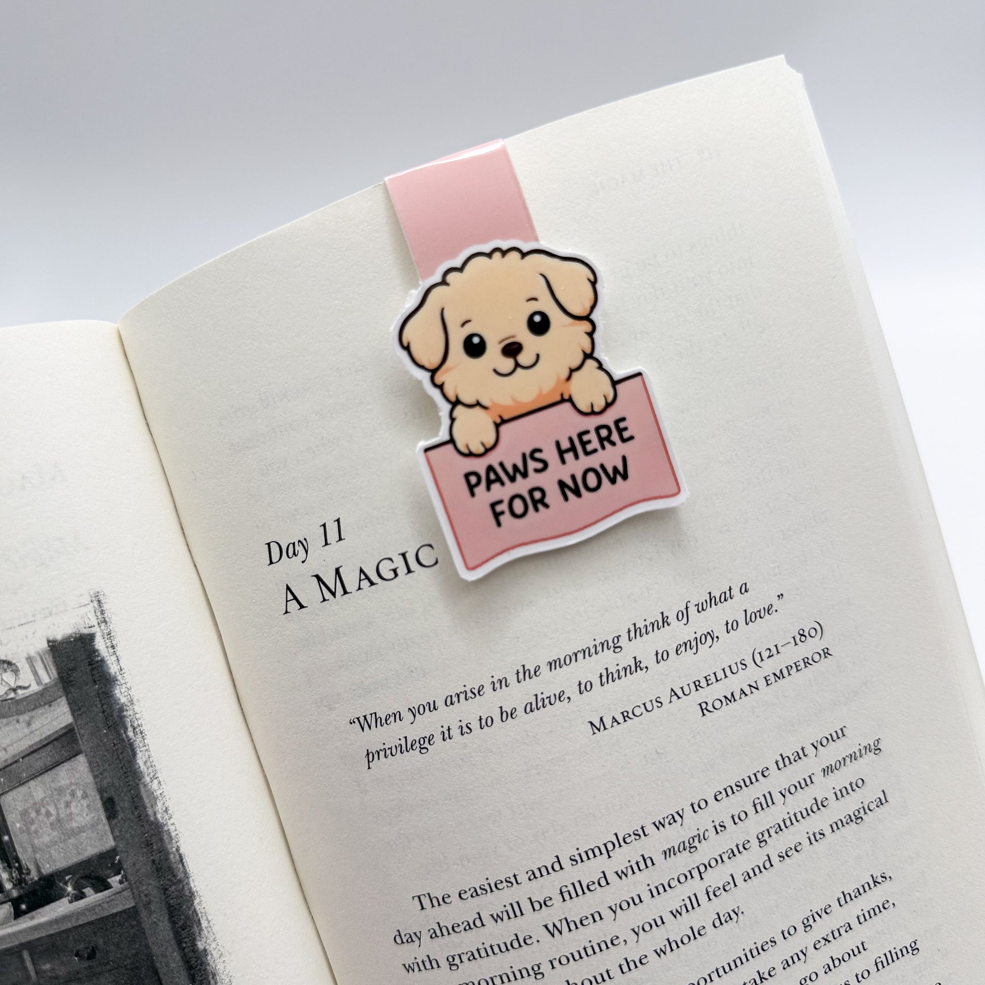 Scattered thoughts? This bookmark trio of dog, cat and koala brings soft rhythm and stillness to deep readers and gentle classroom spaces.
