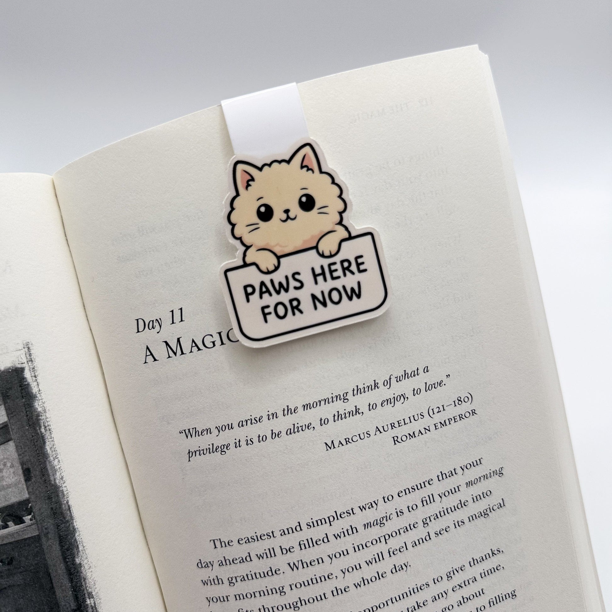 Tired and unfocused? These dog, cat and koala bookmarks offer quiet flow and rhythm to readers who need slow starts and gentle endings.